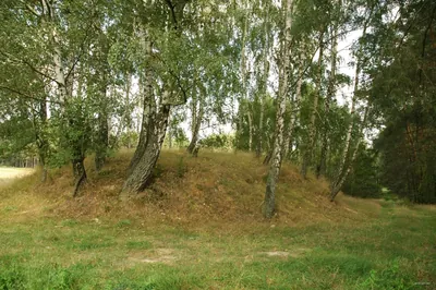 Szlak Przełomu Krzeczowskiego EWI 5