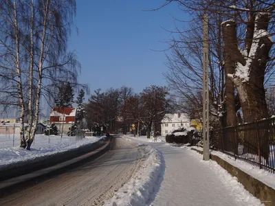 Zawidów - Gryfów Śl.