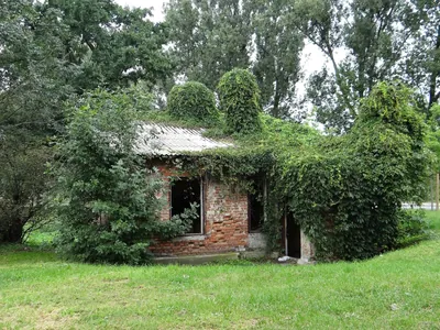 Dwory i Kościoły