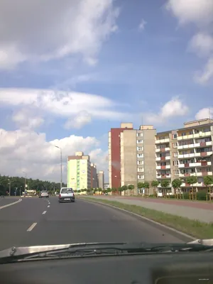 tor ćwiczeń jazdy konnej