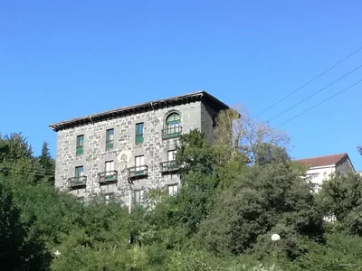 Ego bailara