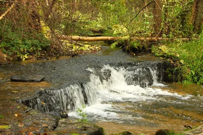 Szlak Ziemi Józefowskiej