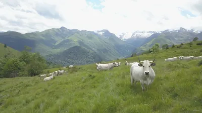 Boucle dans la vallée du Larboust et la Vallée d'Oueil