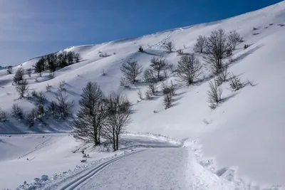 La Panoramique