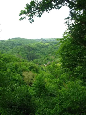 Lisseuil