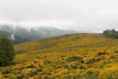 Billeterie Station - Col de Meyrand