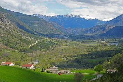 Saint Collomban
