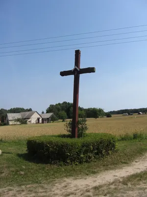 Ilgininkų miško pėsčiųjų takas