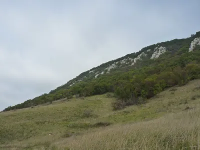 Lencsehegy-kör