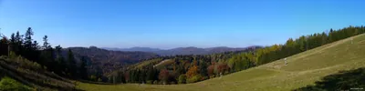Besný Flow/Jumptrail