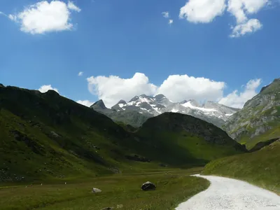 Variante entrada Lagopède