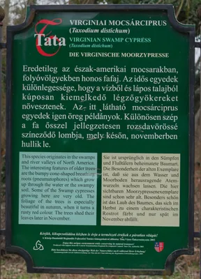 P+ (Tata – Dunaszentmiklós)