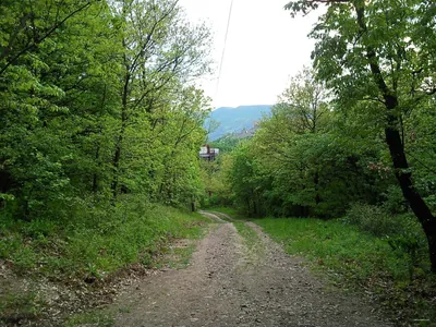 K↺ (Nagy-Villám, autóparkoló - Visegrád, Mogyoró-hegy)