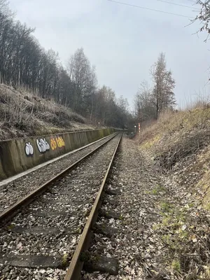 4133 [Z] Žireč - Pod Zálesím