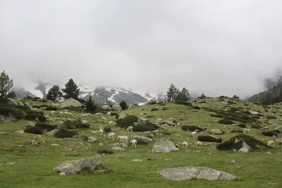 Grande boucle dans la région du Néouvielle