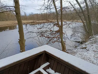 Zielona pętla