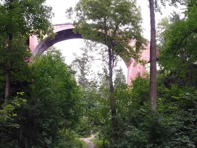 Zielona Srebrna Góra