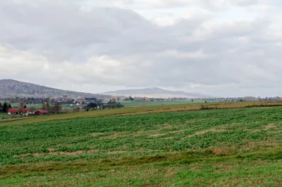 Opatów - Cedzyna