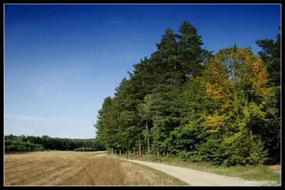 Południk 444