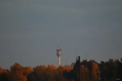Kalisz - Chełmce
