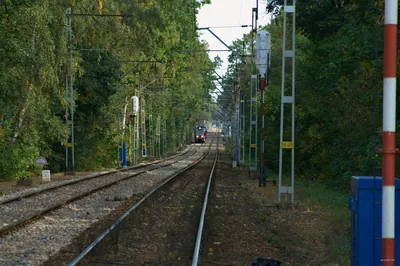 Podkowa Leśna, WKD - Otrębusy, WKD