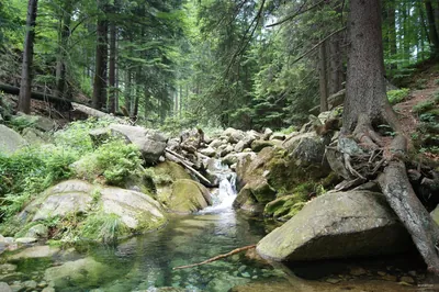 Karpacz, ul. Leśna - Szeroki Most