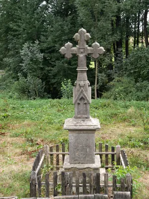 Leśne ABC