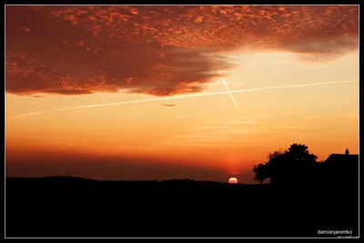 Ścieżka spacerowa Las Wolica - część pomarańczowa