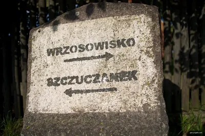 Szlak Borowej Ciotki