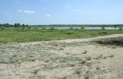 13 Błota Stóp