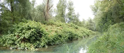 Pays du lac d'Aiguebelette: Circuit VTT FFCT n°11 - Circuit de Lagneux (vert)
