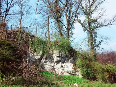 Ścieżka dydaktyczna