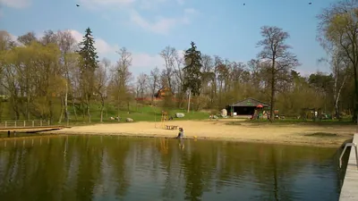 Toruń - Zalesie