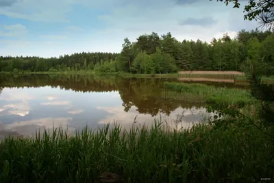 Bogumiłów - Kliczków