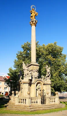 [Z] České Petrovice - Žamberk