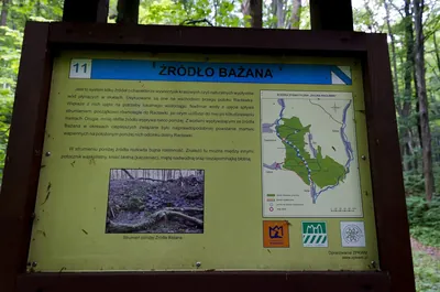 Ścieżka edukacyjna Dolina Racławki (niebieska)
