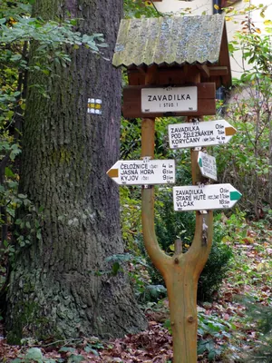 [Z] odbočka k pramenu (Zavadilka stud.)