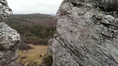 Turystyka Pól Bitewnych 1944 rok - Pańska Góra