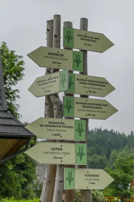 Szlak do schroniska "Zygmuntówka"