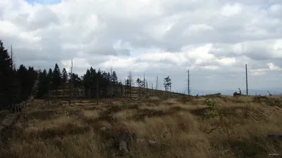 Kamesznica - Barania Góra