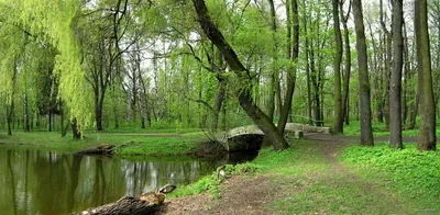 Czarny Szlak Rowerowy - Zielona