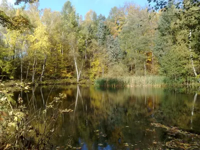 [Č] Jablonecký vyhlídkový okruh