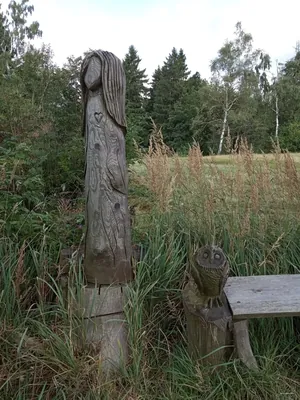 [Č] Jaroměř (žst.) - Zvičina