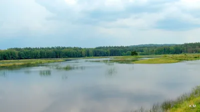 Ścieżka do stawów "Echo"