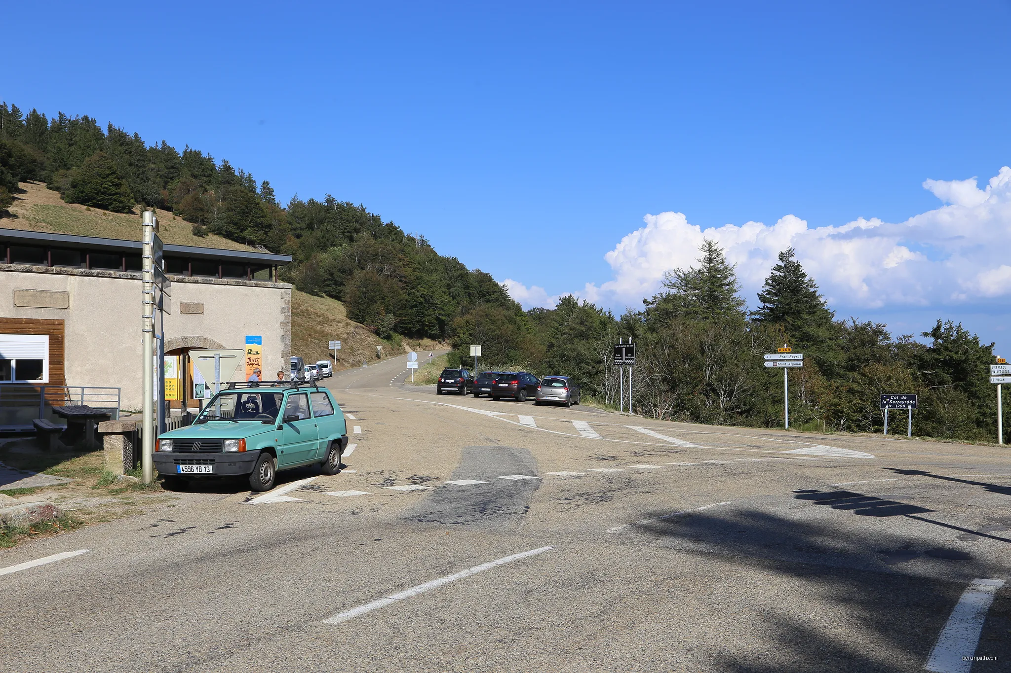 Forêt de l'Aigoual