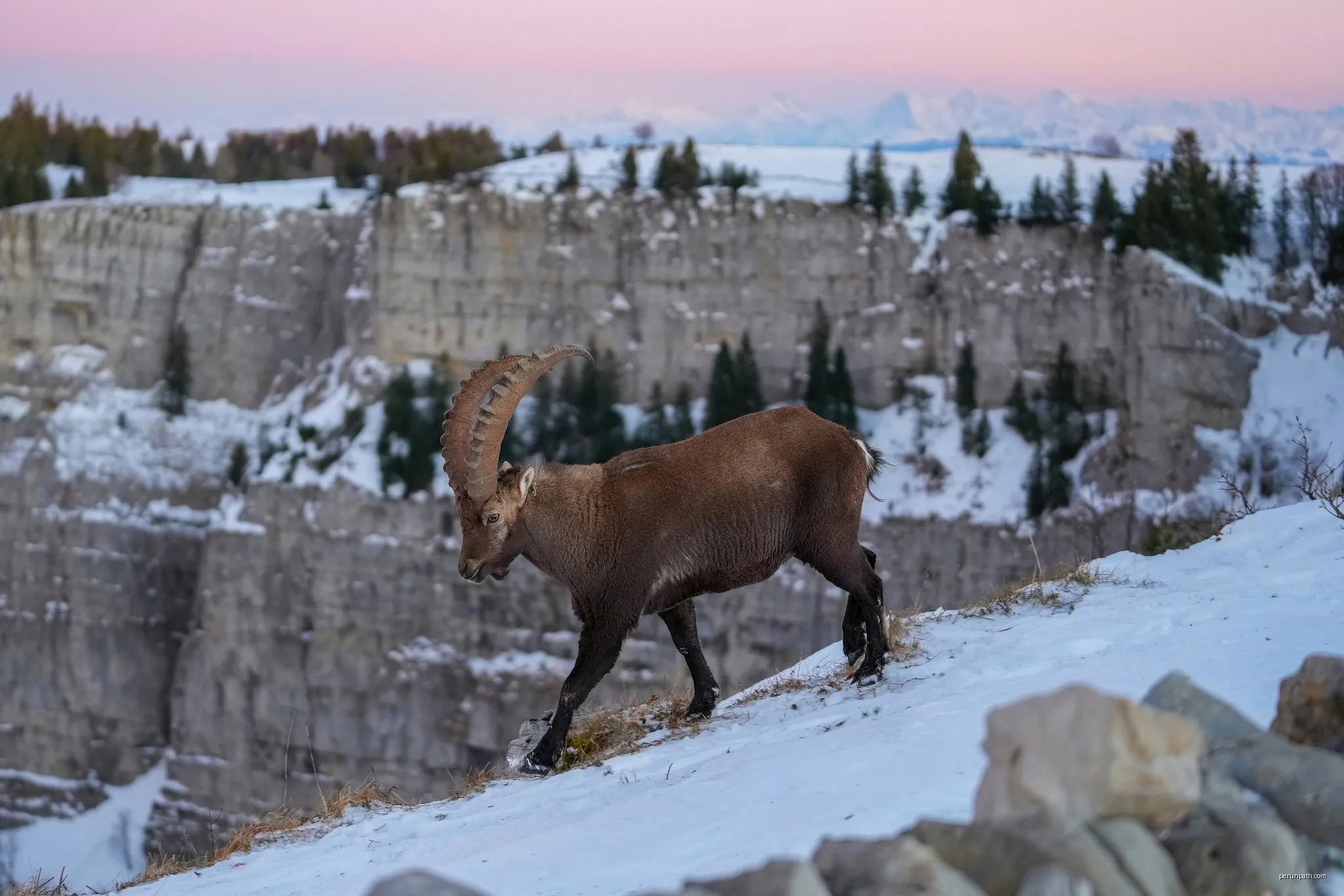 Le Creux de la neige