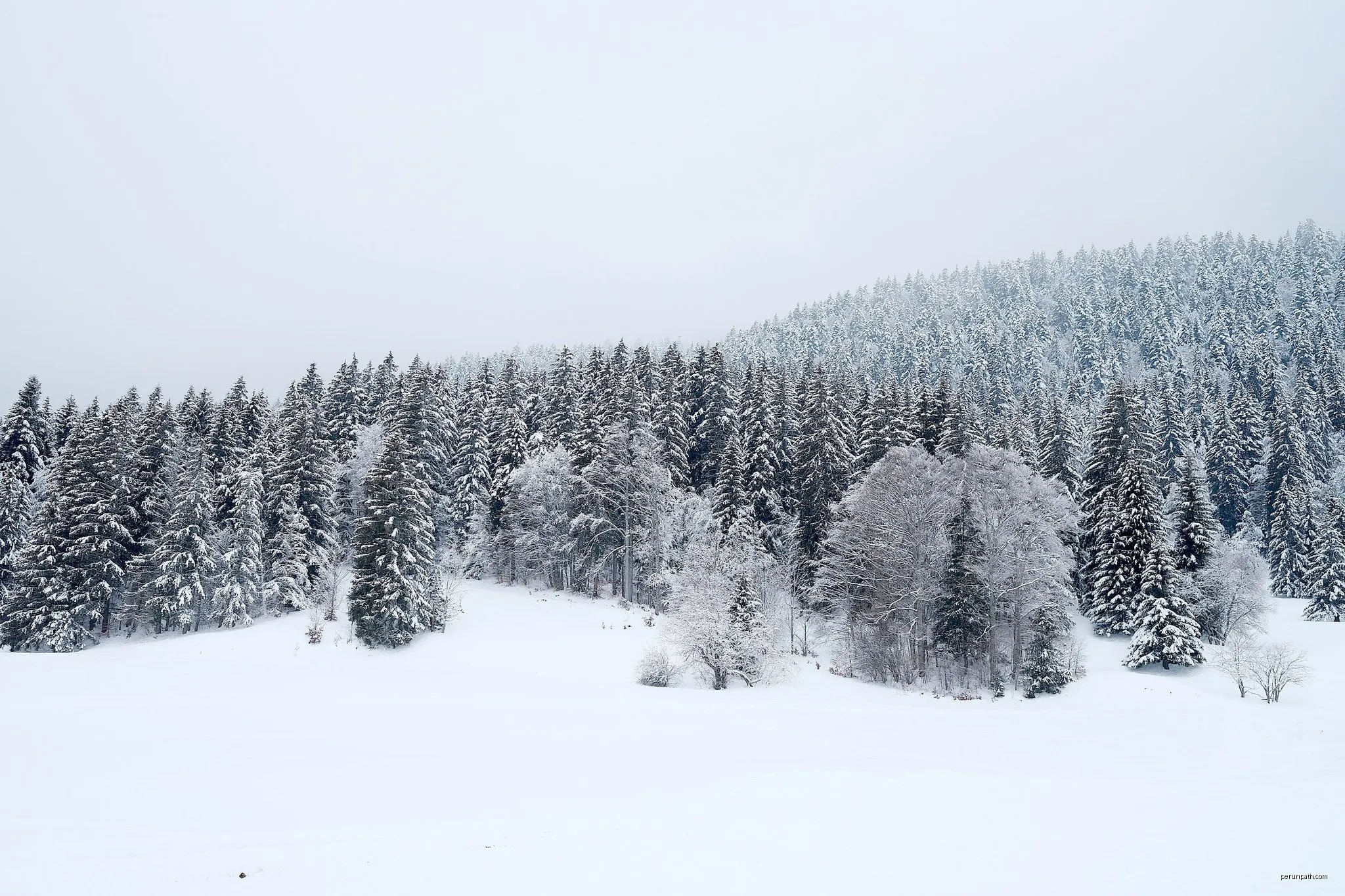 3 - Les Tranchants
