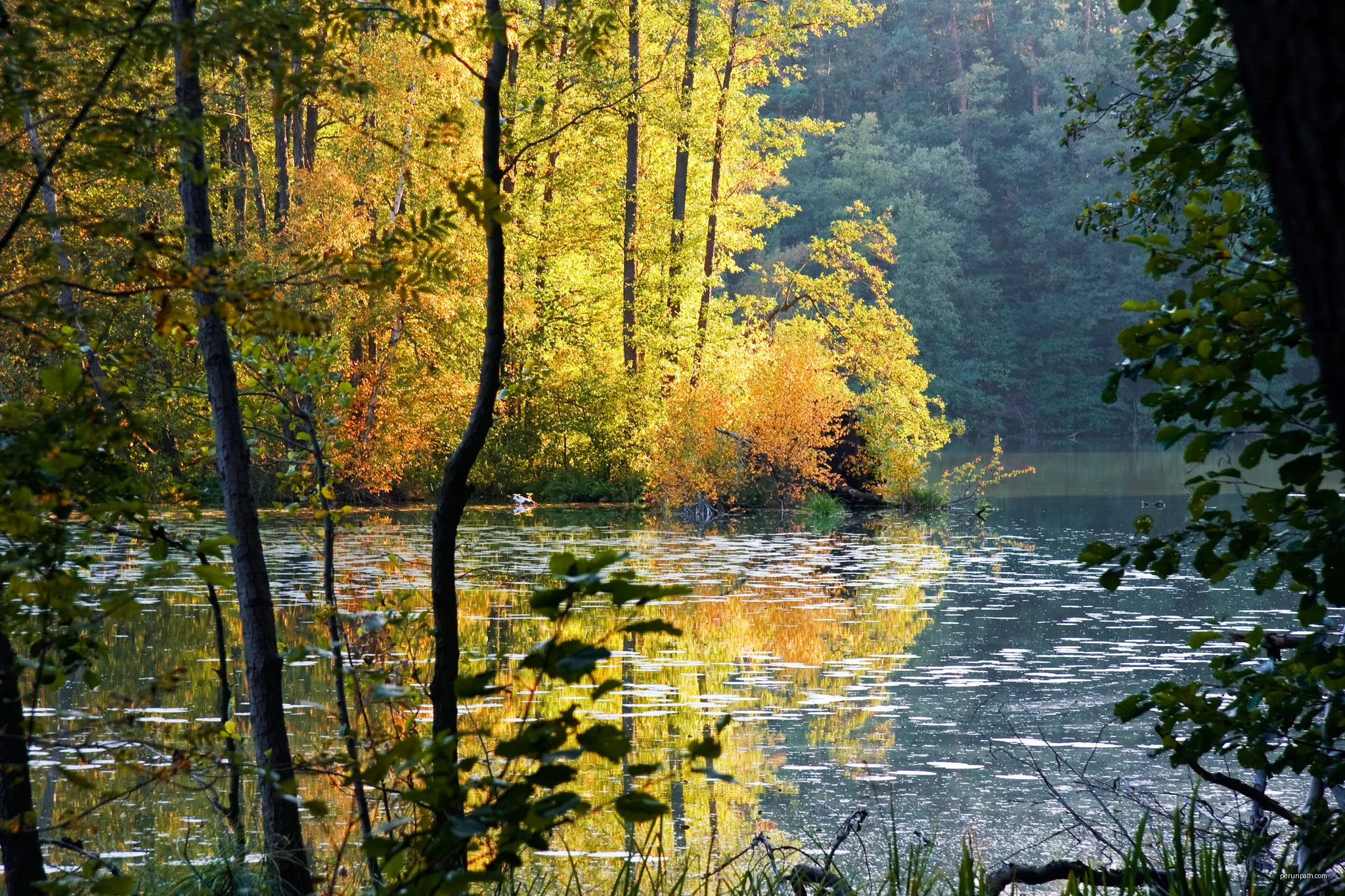 Naturschutzgebiet „Schlaubetal“, Siehdichum, Kleiner Schinkensee | Autor: Altglienicker | Licencja: CC BY-SA 3.0 | Źródło: Wikimedia Commons