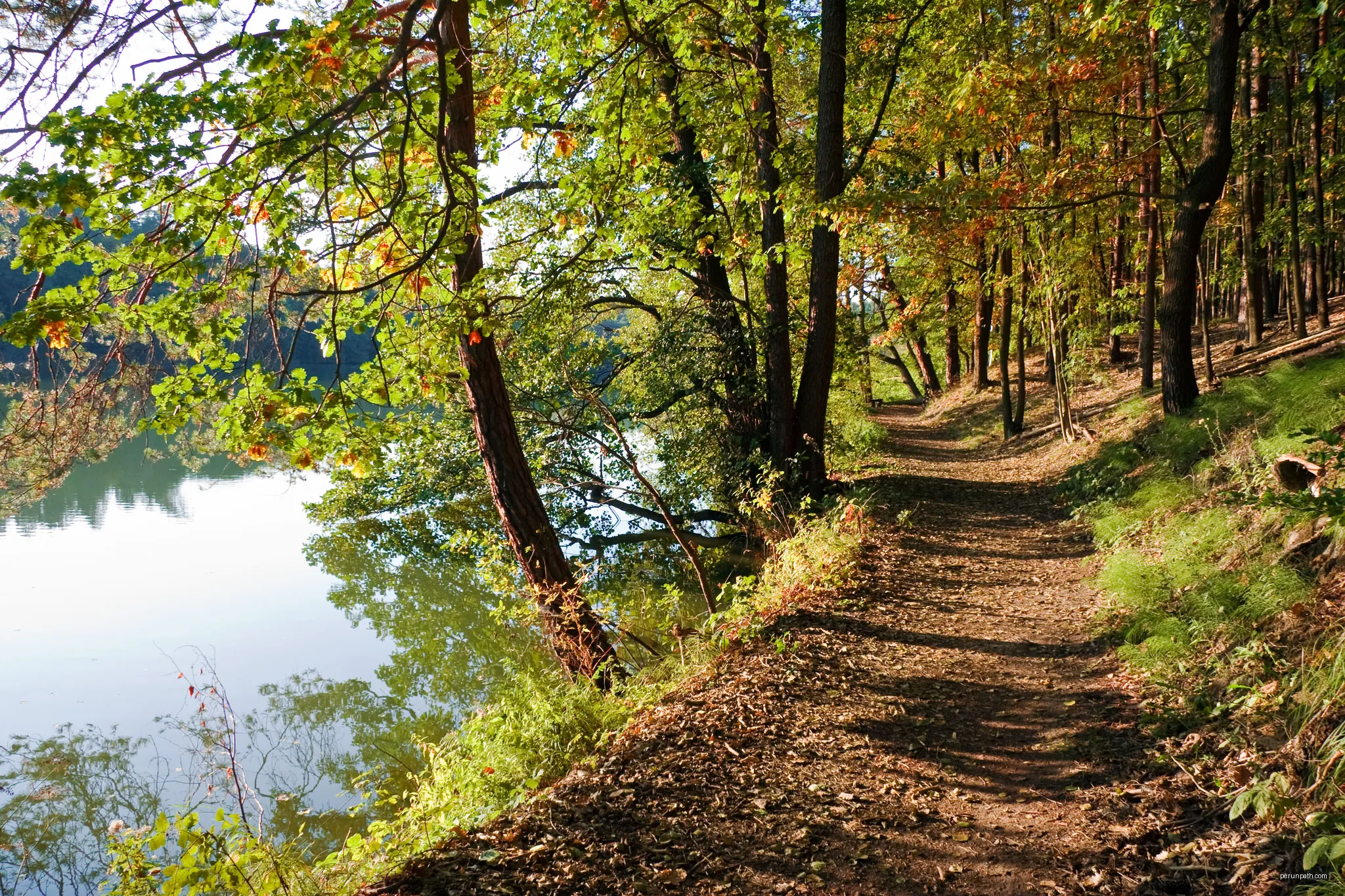 Landschaftsschutzgebiet Schlaubetal, Langesee bei Siehdichum, siehe [1] | Autor: Altglienicker | Licencja: CC BY-SA 3.0 | Źródło: Wikimedia Commons