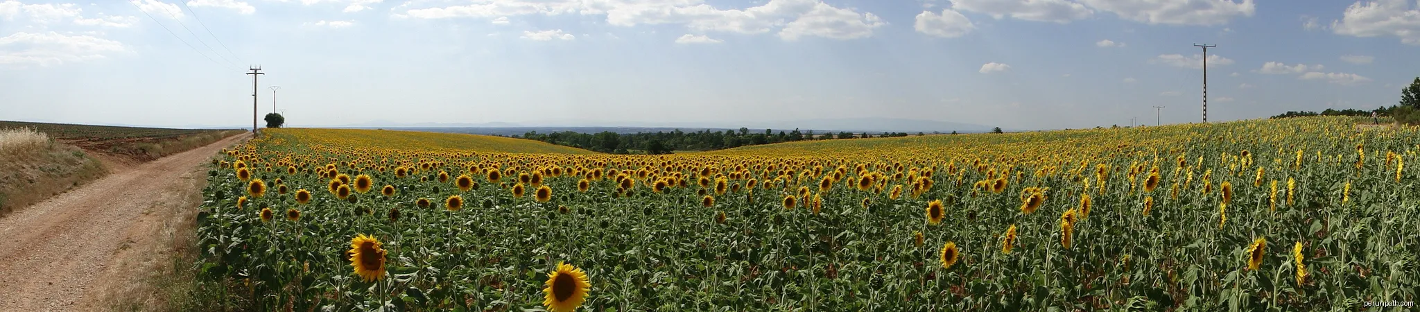 Tour des Balcons du Verdon et Plateau de Valensole